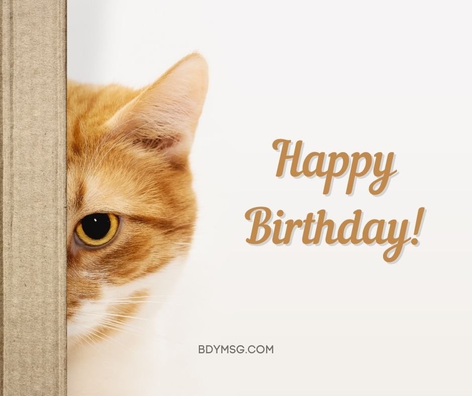 Cat Happy Birthday Status