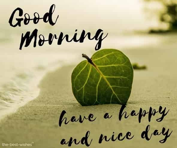 Good Morning Have A Happy Nice Day Pic