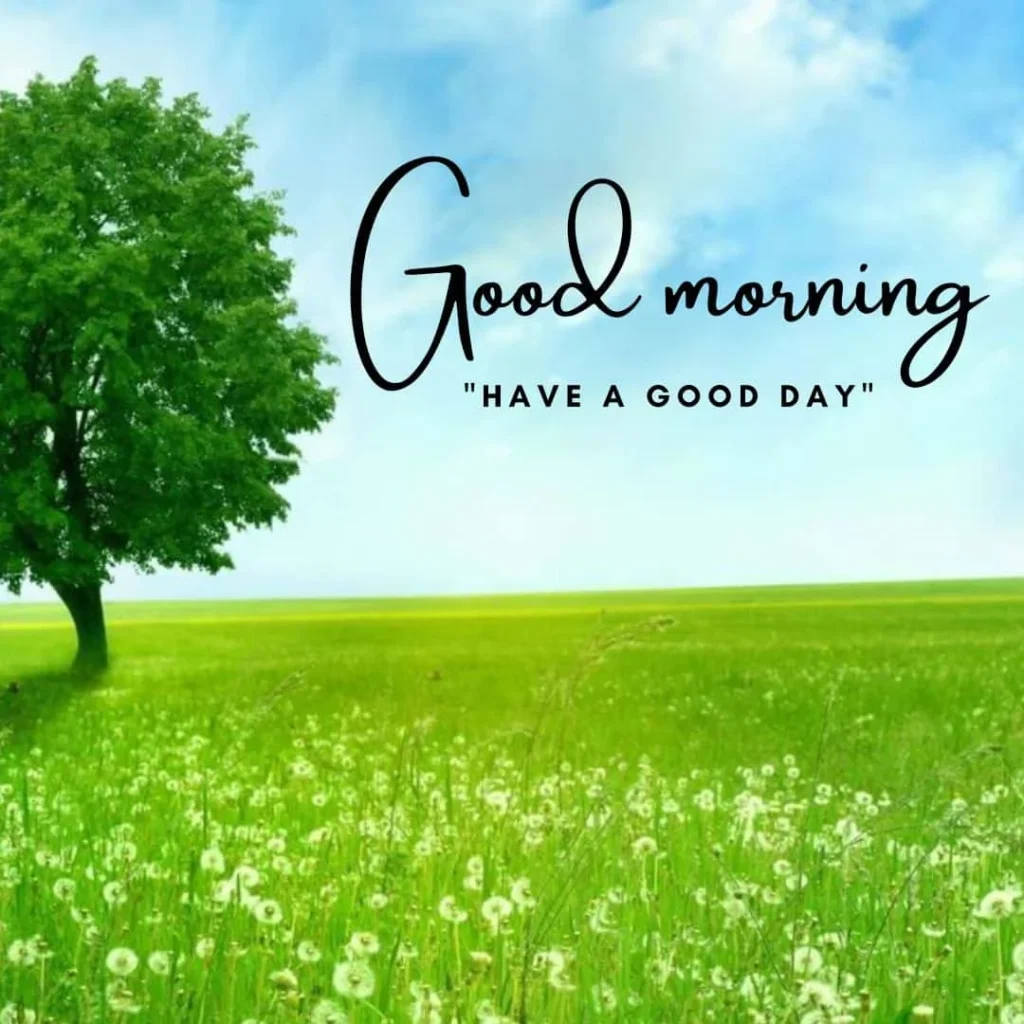 Good Morning Nature Have A Good Day Status