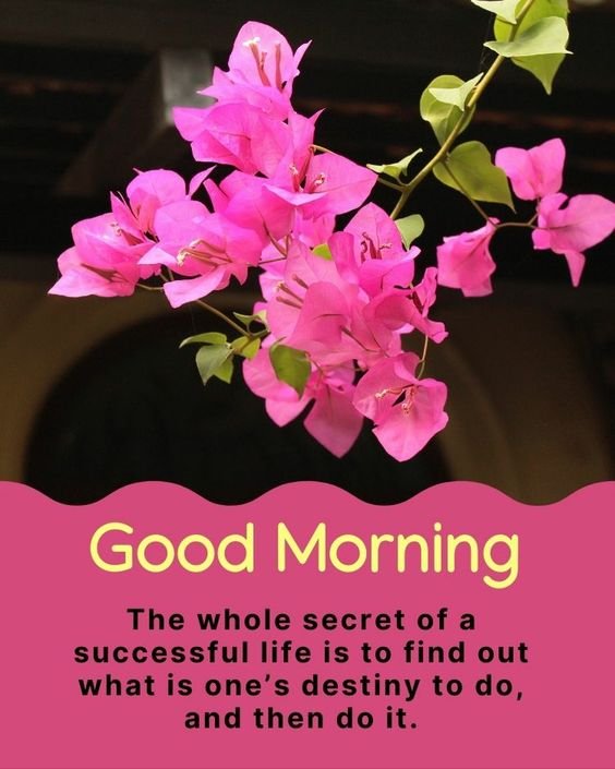 Good Morning Secret Of A Successful Life Pic
