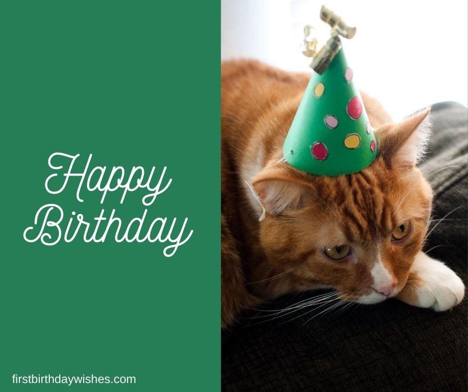 Happy Birthday Brown Cat Photo