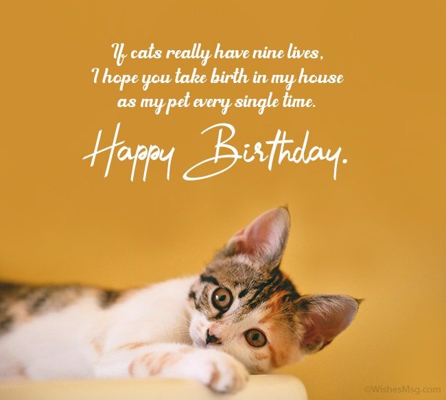 Happy Birthday My Cat Image