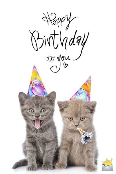 Happy Birthday To You My Beautiful Cats Image