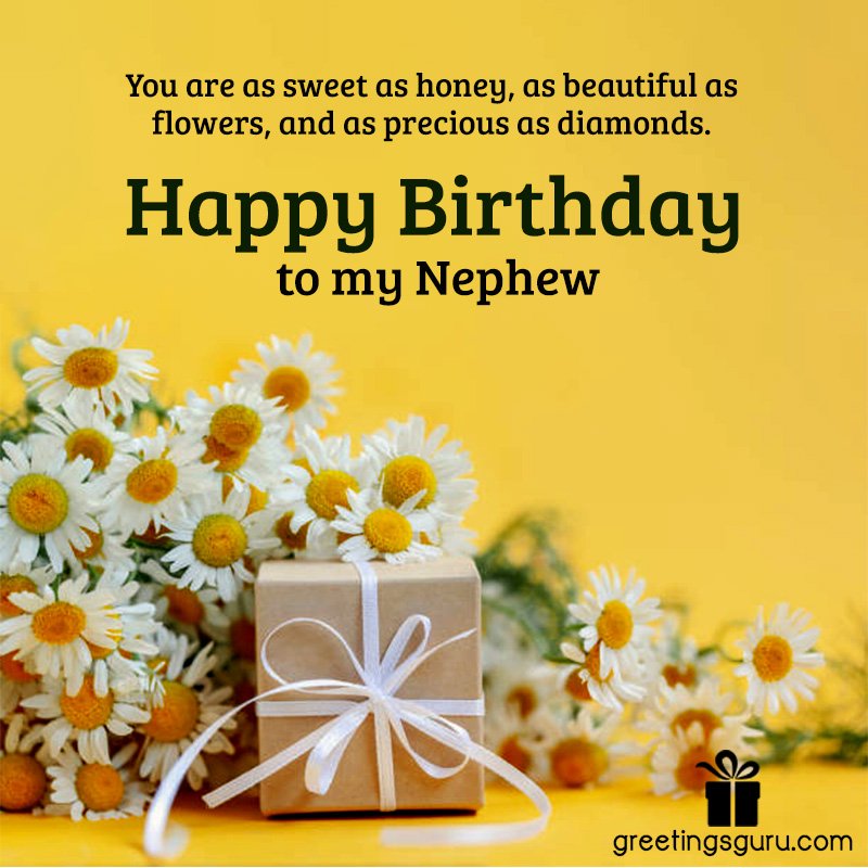 50+ Happy Birthday Wishes for Nephew