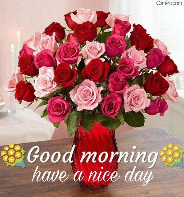 Good Morning With Roses Have A Nice Day Photo