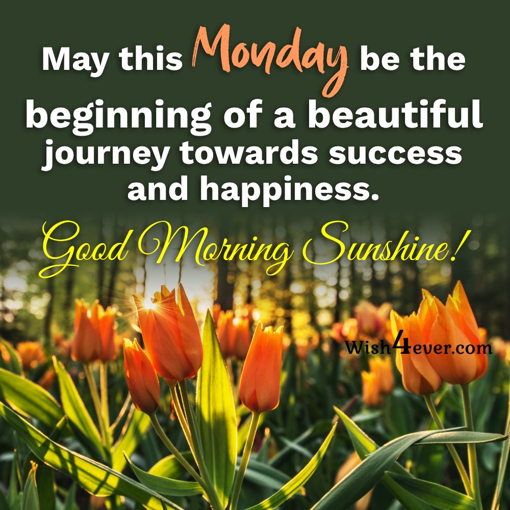May this Monday be the beginning of a beautiful
