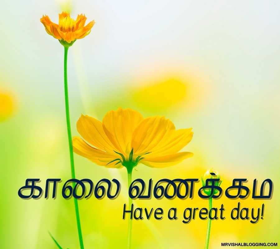 Fantastic Good Morning In Tamil Pic