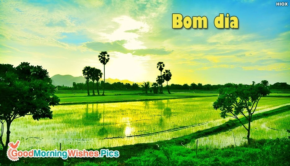 Good Morning In Portuguese Bom Dia