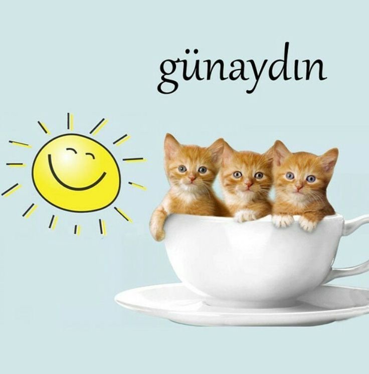 Good Morning In Turkish Pic