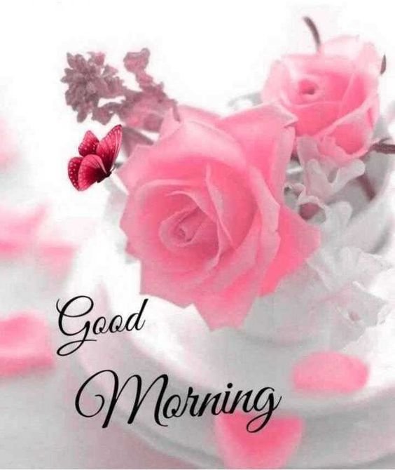 Good Morning Pink Flower Wish