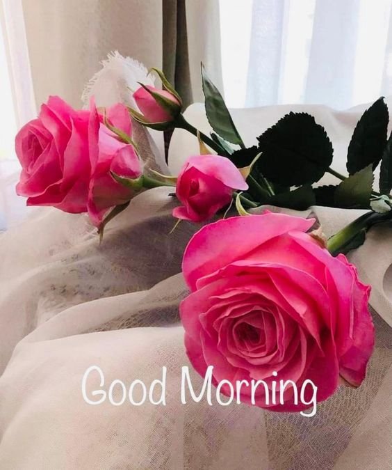 Good Morning Pink Flower