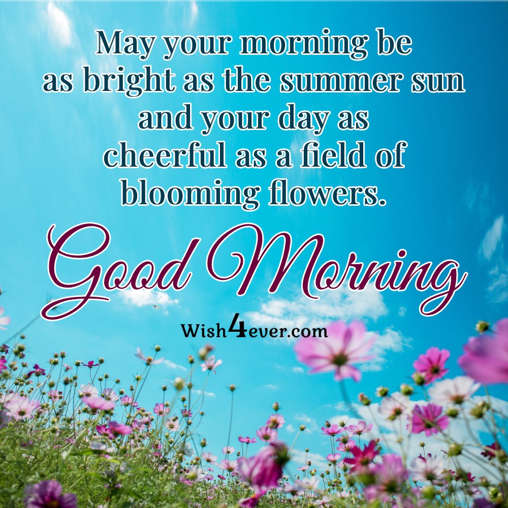 Stunning summer Morning Images Free Download