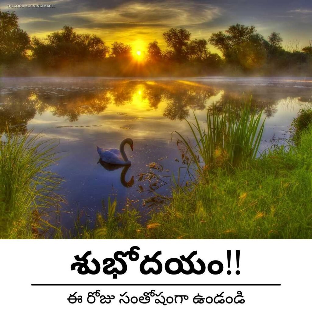 Telugu Fantastic Good Morning