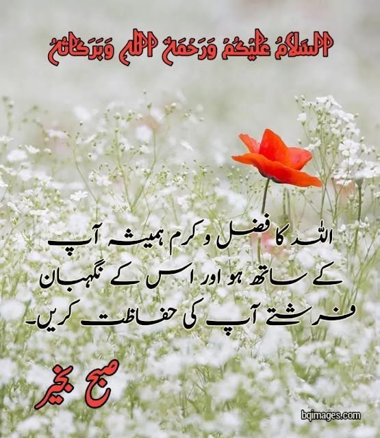 Wonderful Good Morning Urdu Image